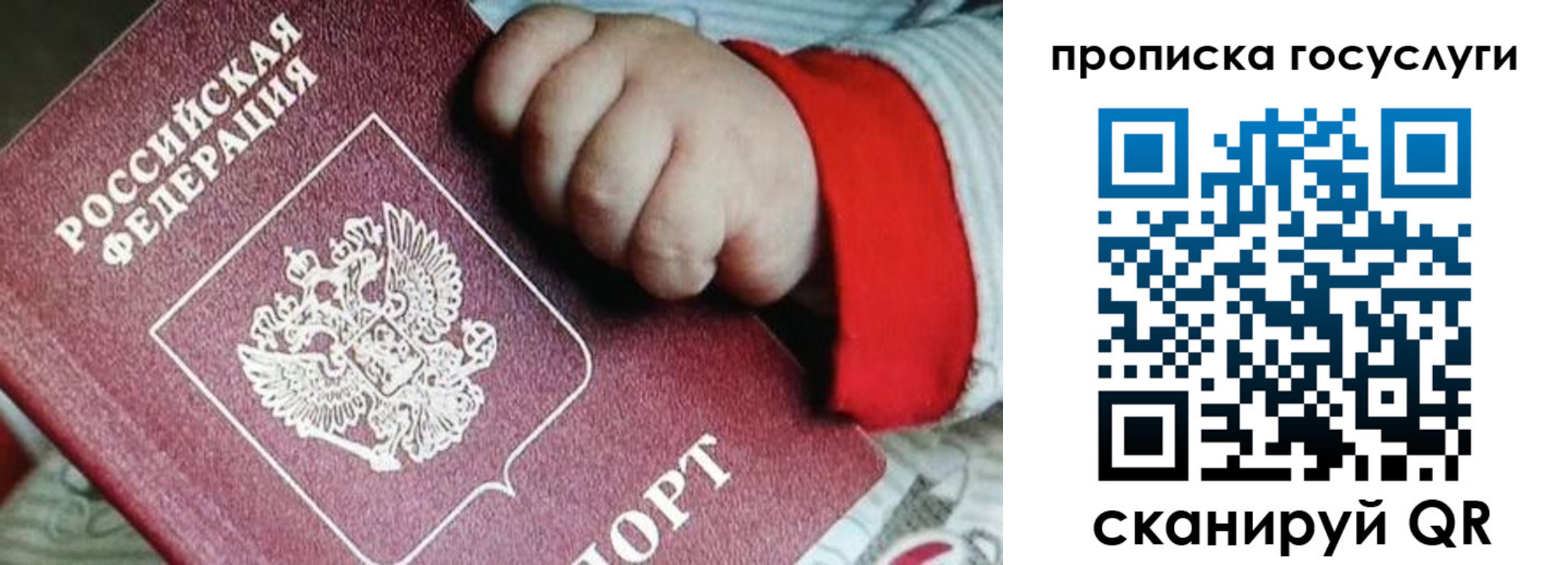 прописка штамп в Шилке